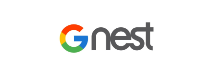 Google Nest